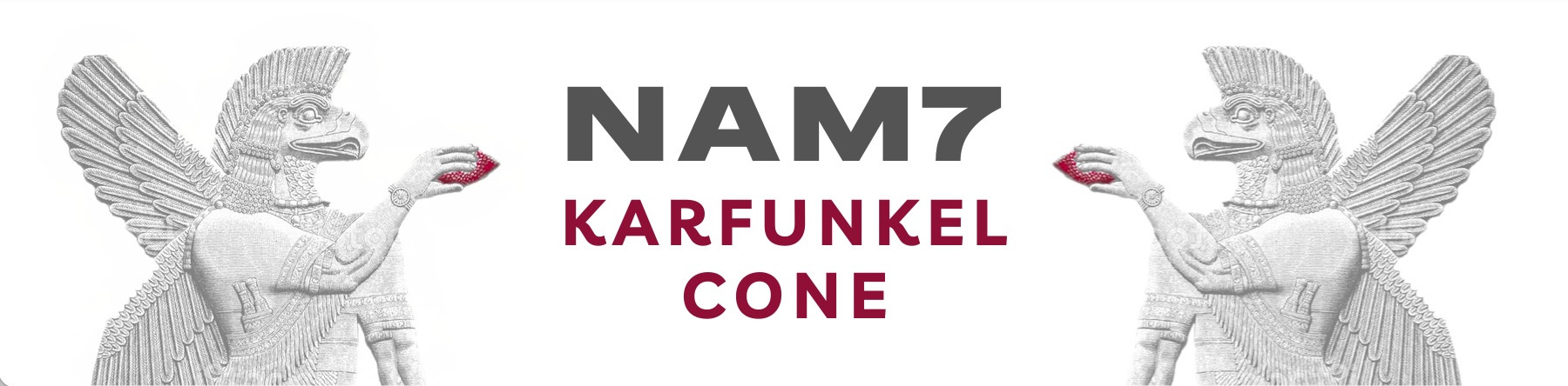 NAM7-Karfunkel-Cone