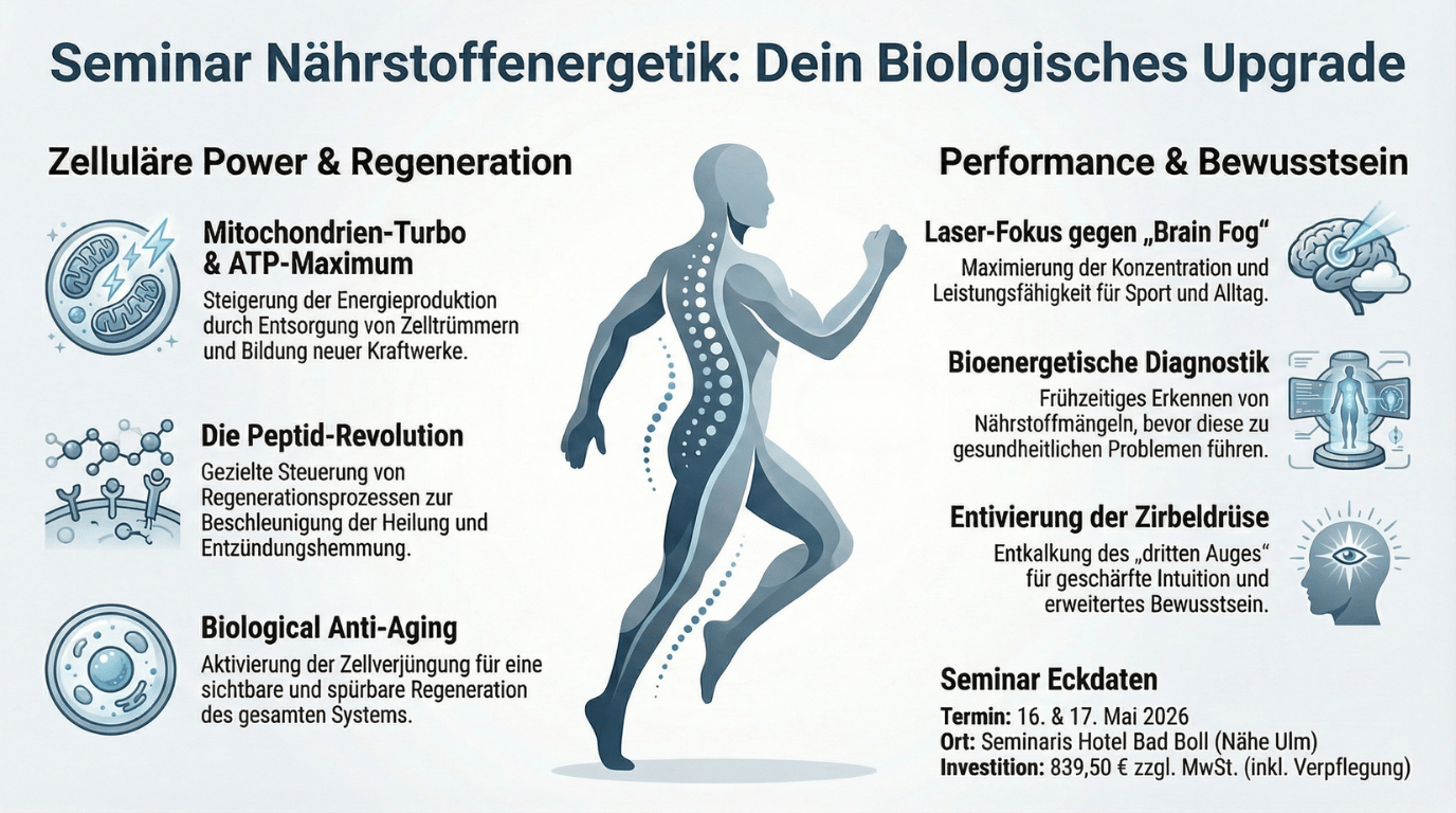 Seminar: Nährstoffenergetik mit Zaydo Kiwano